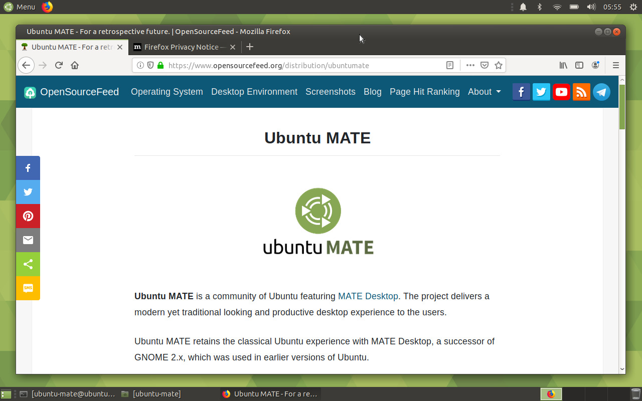 Firefox in Ubuntu MATE Eoan
